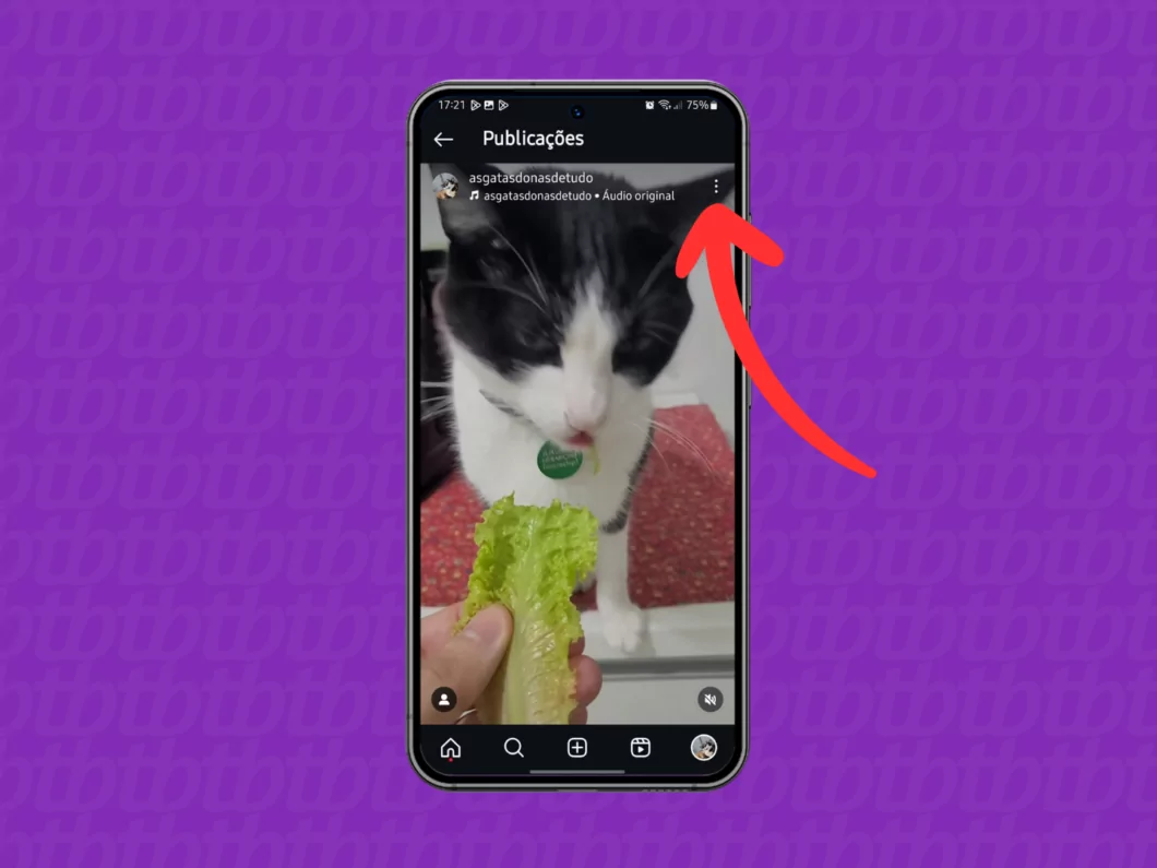 Como prender ou soltar uma imagem no Feed do Instagram Guia Região dos Lagos 11 Captura de tela do Instagram mostrando como abrir o menu de opções