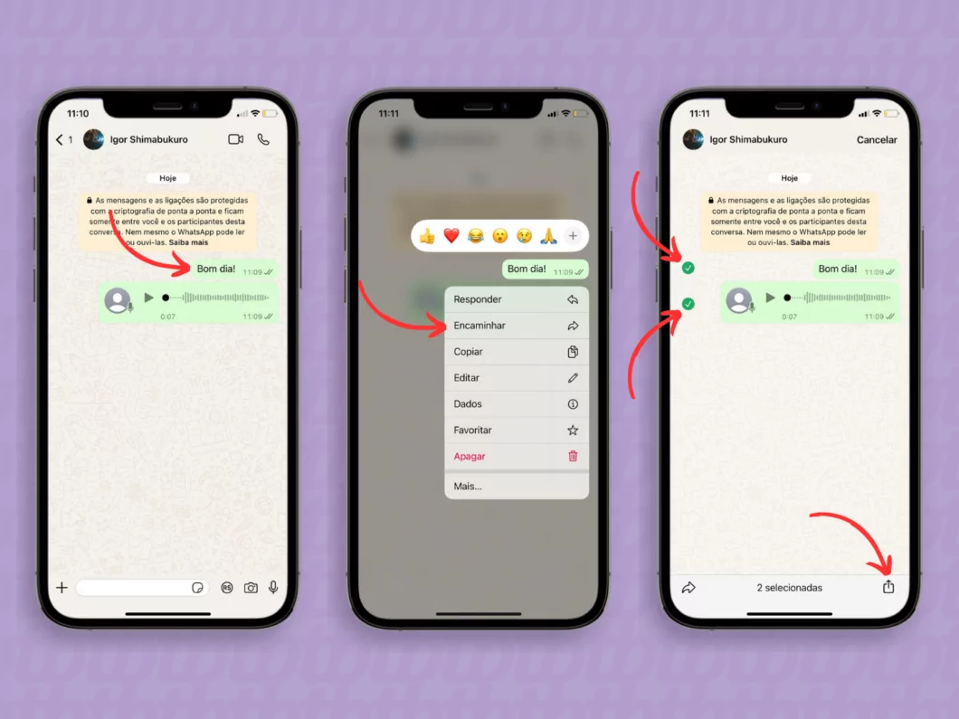 Encaminhando mensagens do WhatsApp via compartilhamento do iOS Encaminhando mensagens do WhatsApp via compartilhamento do iOS