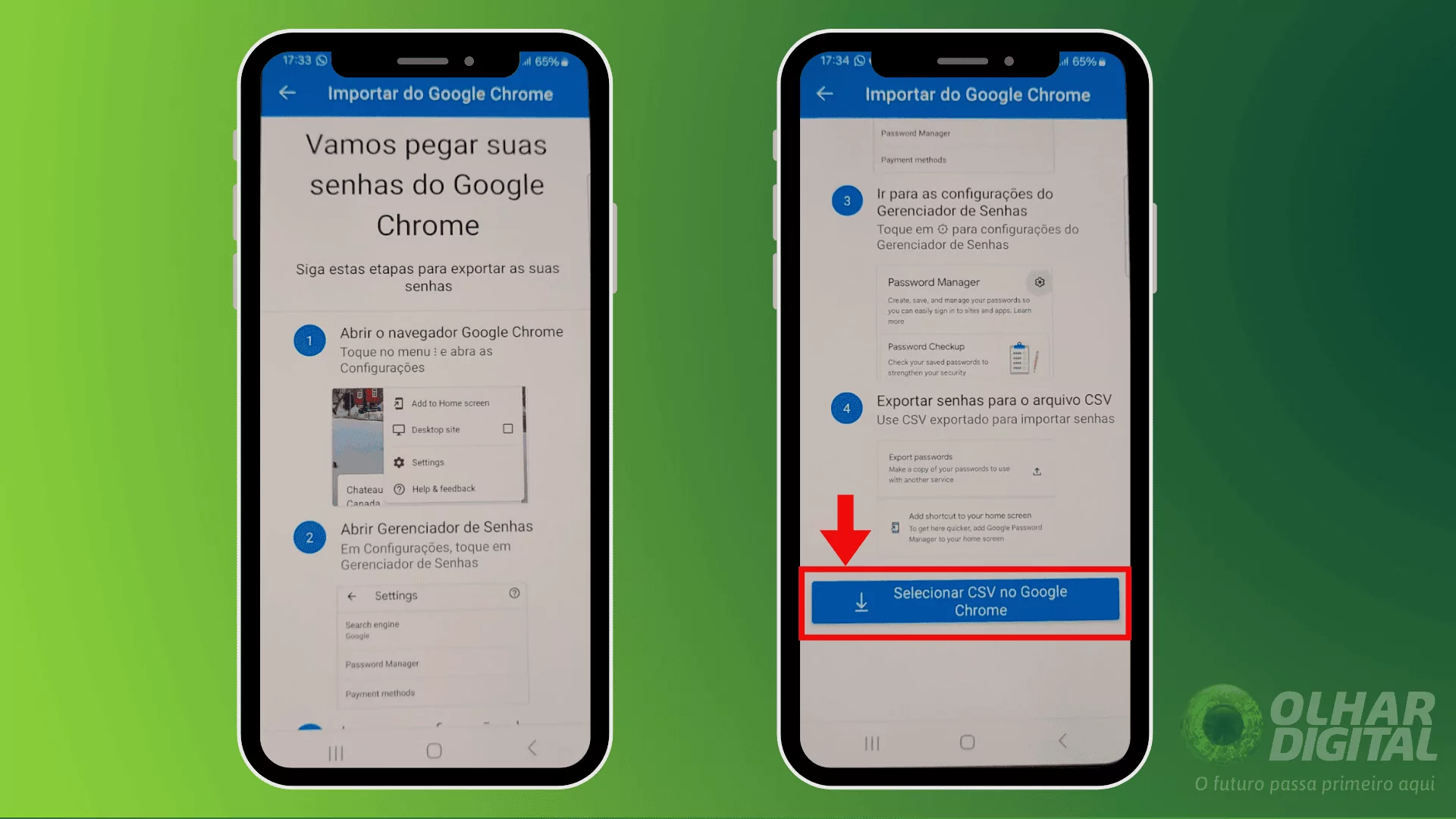 Opção para selecionar o CSV ao importar senhas.