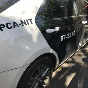 spot_img