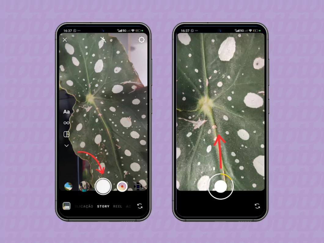 Aplicando zoom no story do Instagram Aplicando zoom no story do Instagram