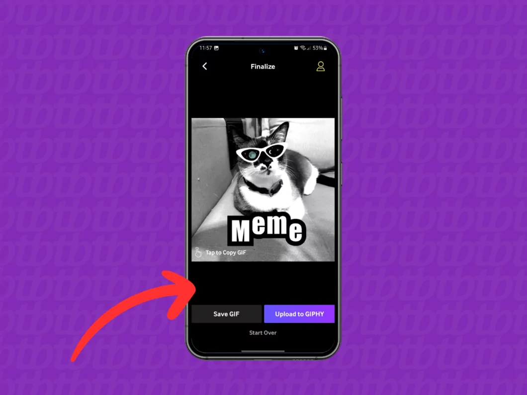 Como fazer um GIF para usar nos Stories do Instagram Guia Região dos Lagos 18 Captura de tela do aplicativo GIPHY mostra como copiar, salvar ou fazer upload do GIF