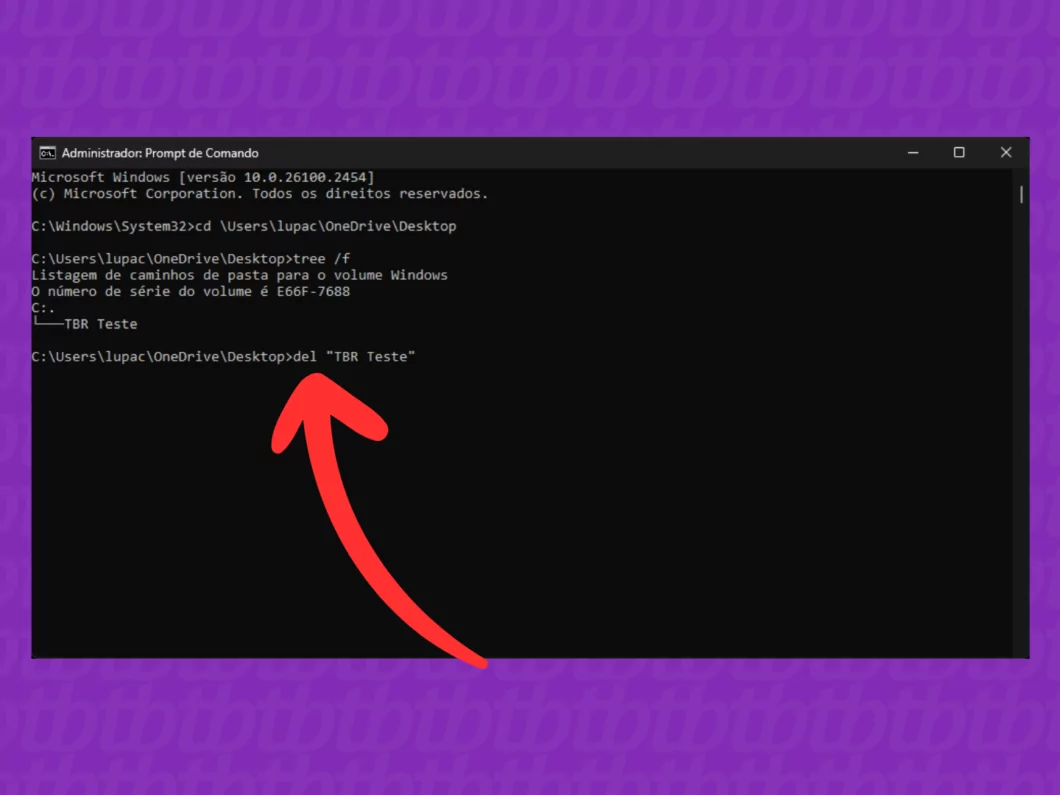 Usando o comando del para excluir a pasta Apagando a pasta que não quer ser excluída no Windows