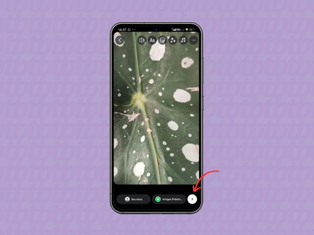 Postando o story com zoom no Instagram Postando o story com zoom no Instagram