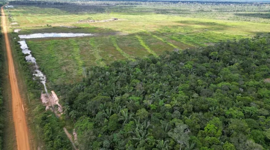 Nova lei no Mato Grosso muda categoria de área da Amazônia para Cerrado