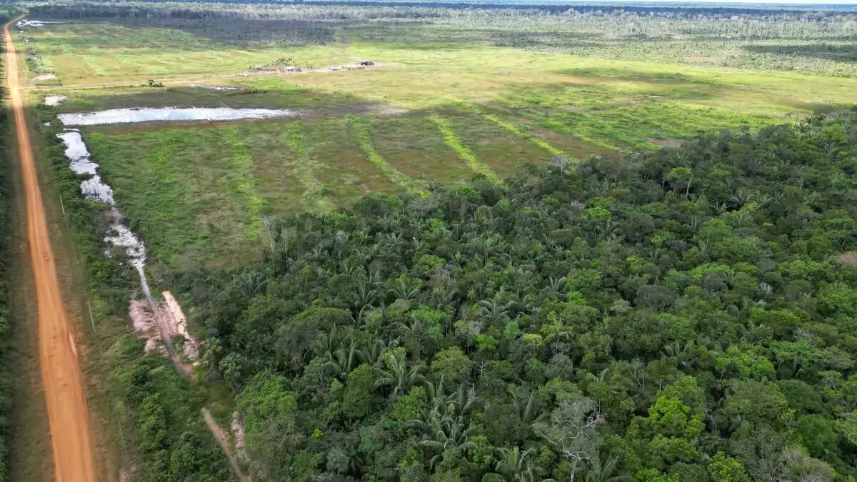 bancos amazônia