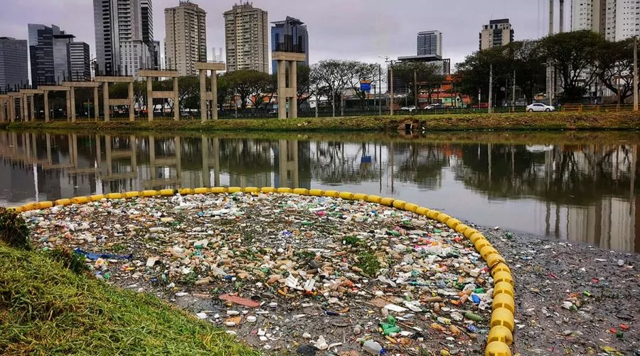 No Brasil, 56% afirma estar pouco engajado com o meio ambiente