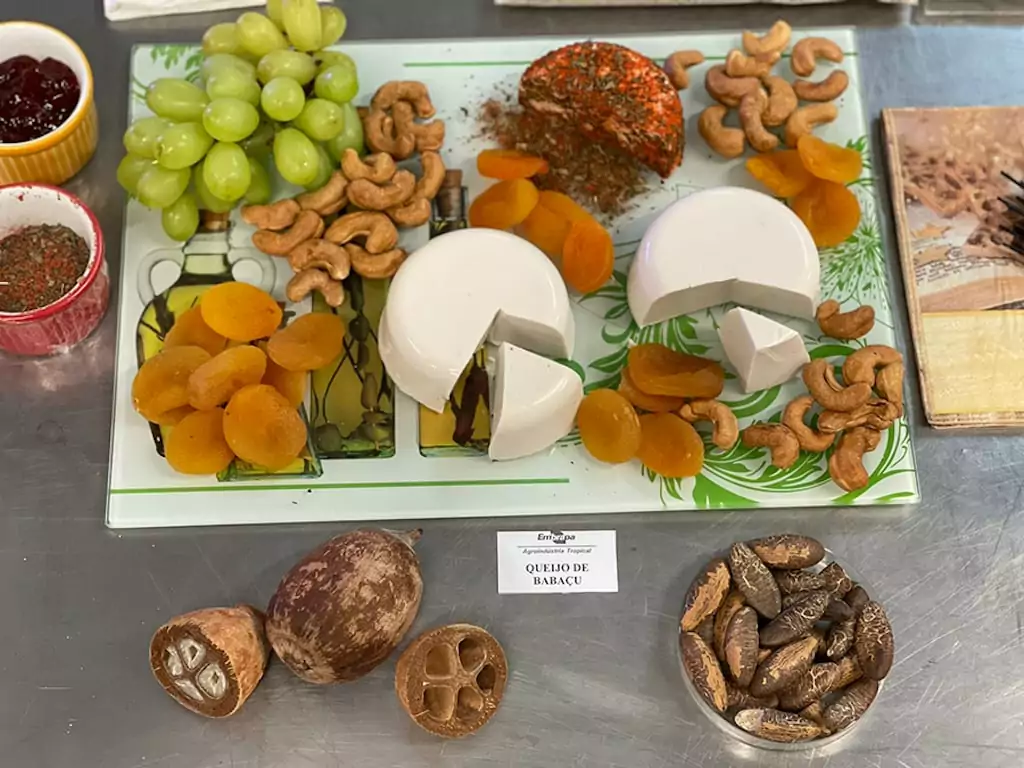 queijo vegano