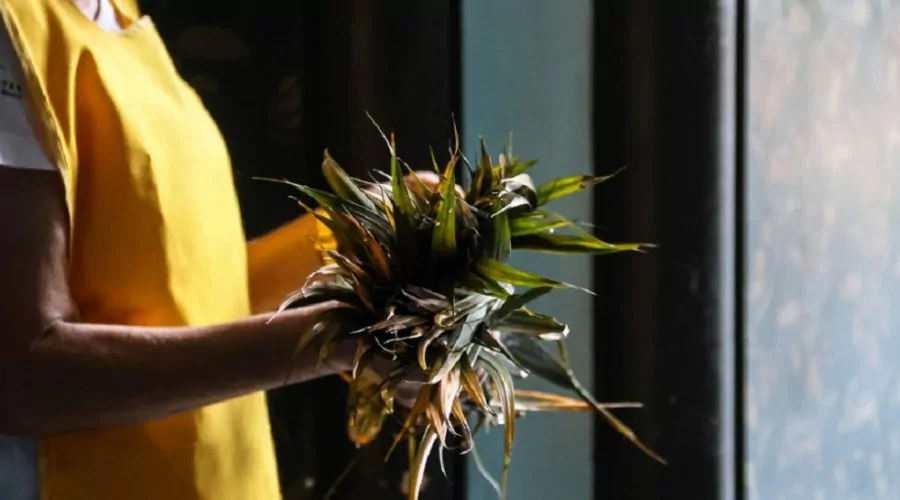 São Pedro da Aldeia: Domingo de Ramos e o significado dessa data que inicia a Semana Santa