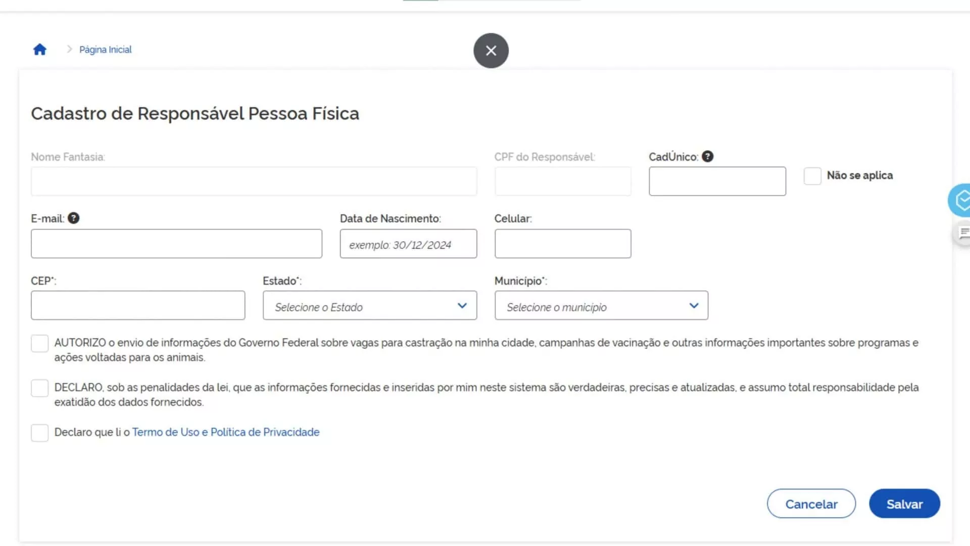 Preenchimento de dados do pet