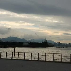 spot_img