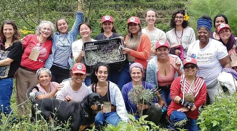 Mulheres e agroecologia: alimentação saudável e preço acessível