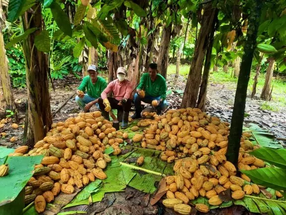Plataforma amplia renda de comunidades ribeirinhas na Amazônia