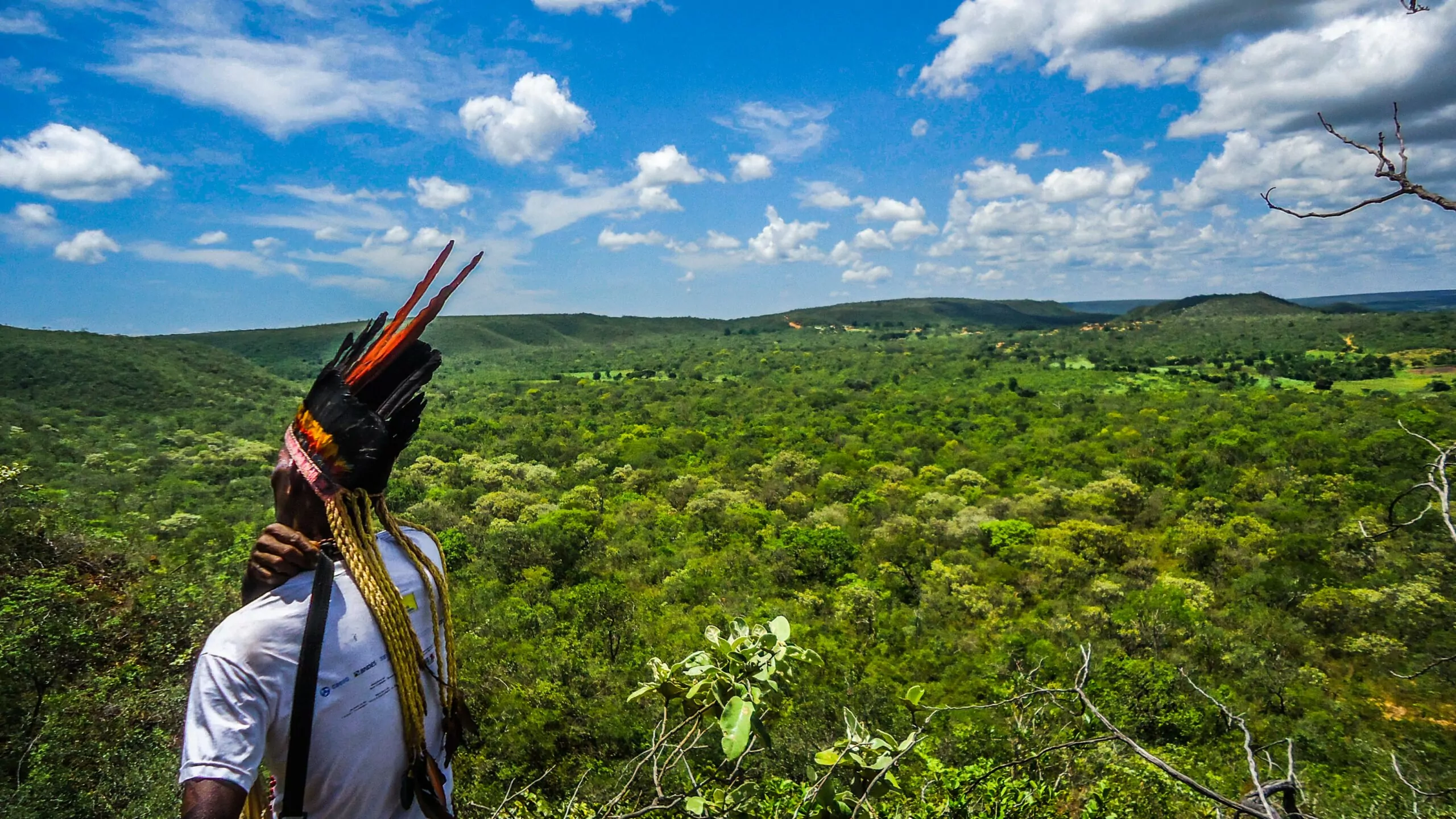 Preservação de biomas é maior onde há indígenas e comunidades tradicionais