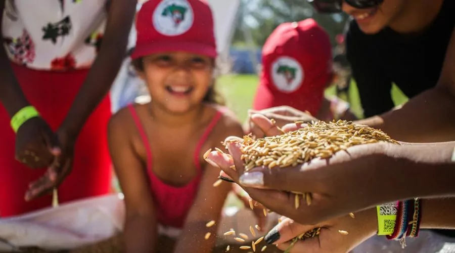 Solo produtivo: métodos do MST suportam as chuvas no RS