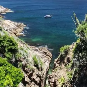 spot_img