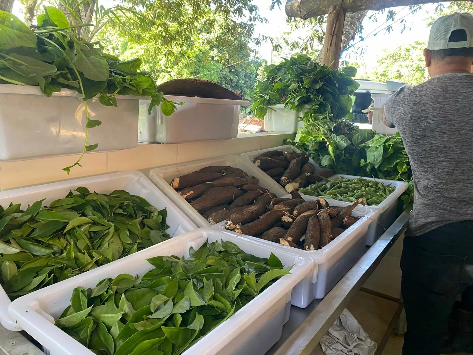 Prefeitura de Saquarema produz alimentos de qualidade para abastecer a mesa dos mais vulneráveis