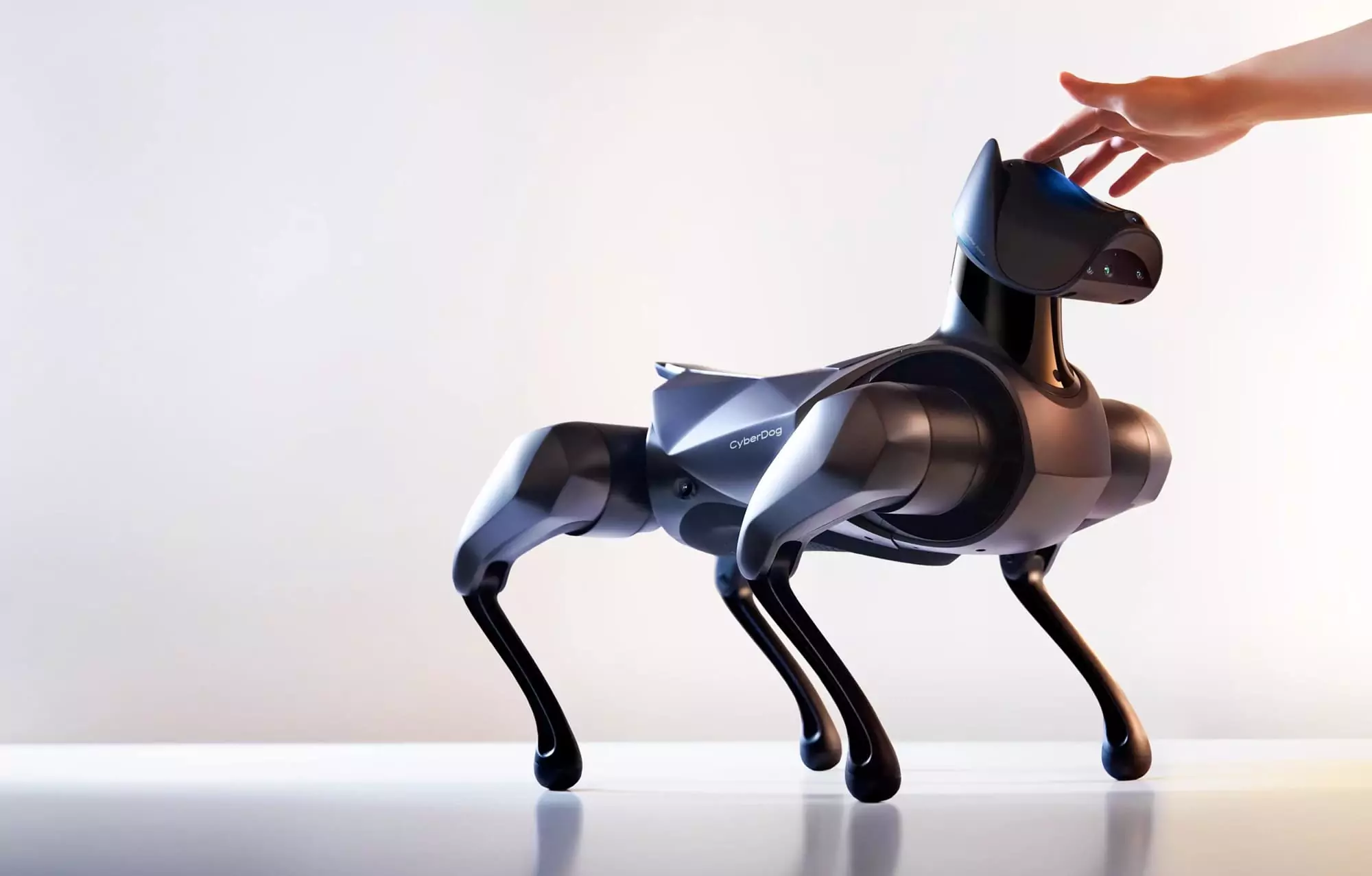 Cão-robô da Xiaomi chega ao Brasil com comandos por voz e IA
