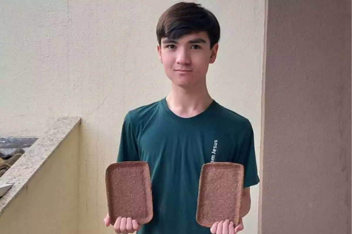 bandejas biodegradáveis