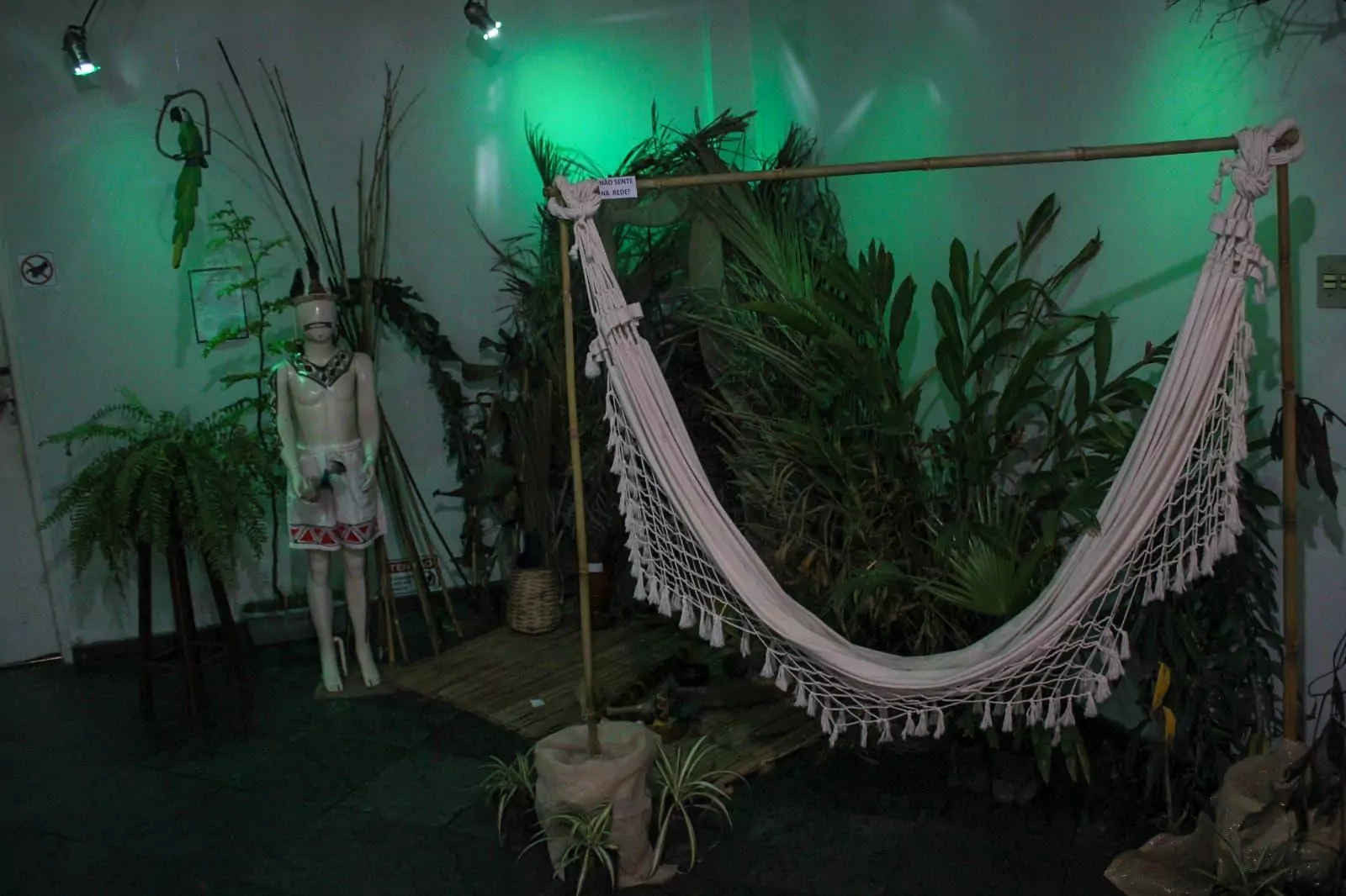 Exposição “Vozes da Floresta” é prorrogada até o dia 03 de julho na Casa da Cultura em São Pedro da Aldeia